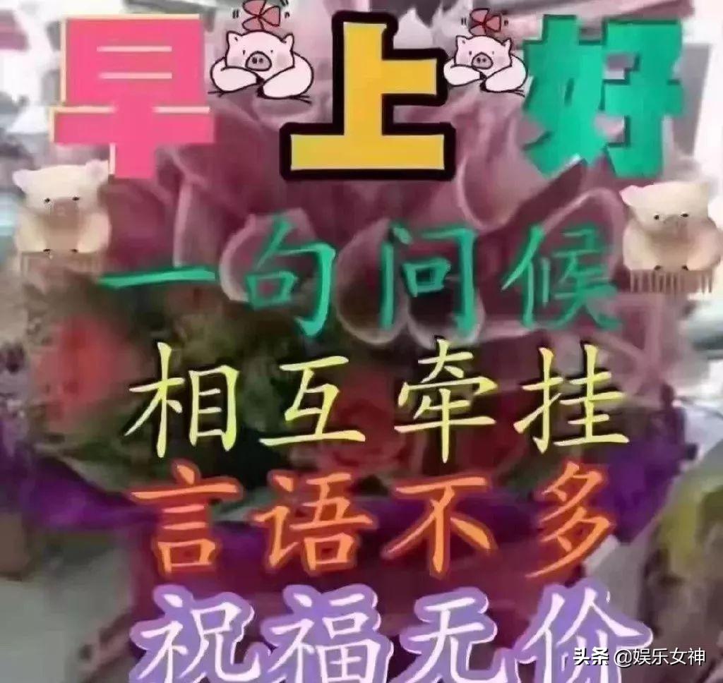 最新动态早上好图，独特日常问候方式