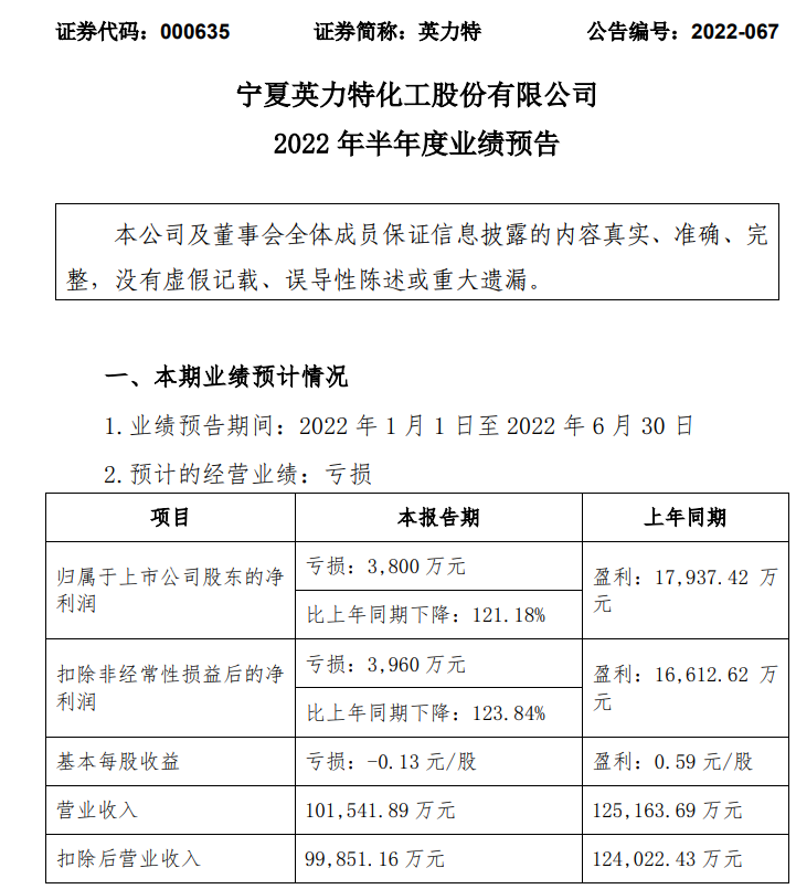 宁夏英力特最新公告发布，关注最新动态与消息更新