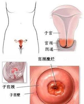 招聘信息 第142页