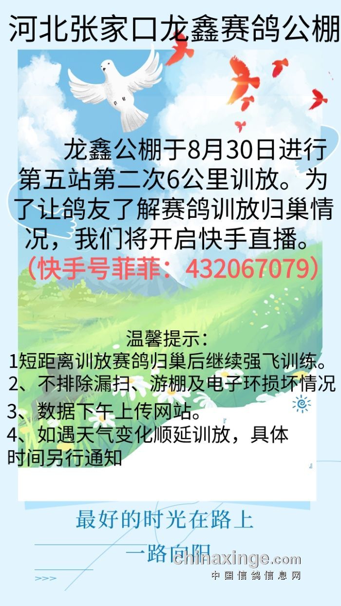 龙鑫公棚最新公告发布