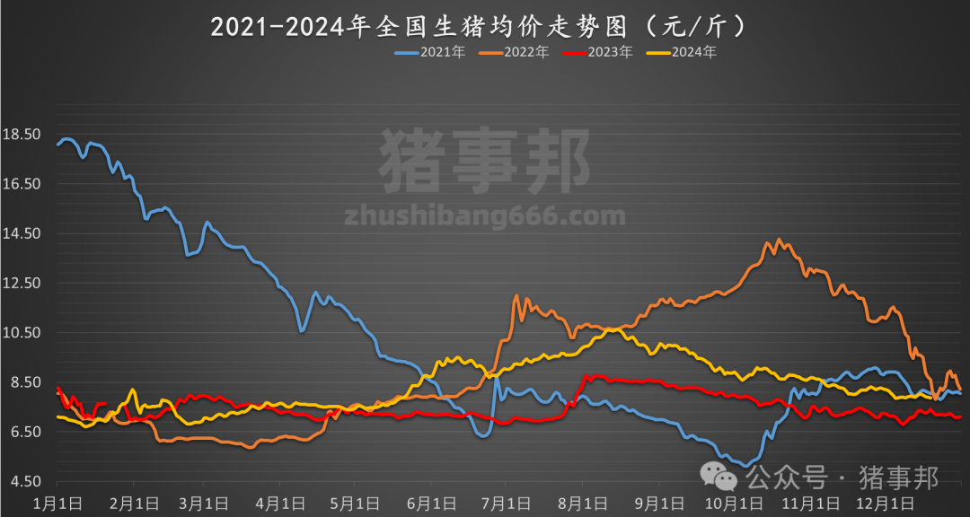 市场走势与未来展望