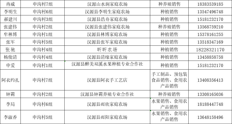 汉源九襄最新招聘，全面解析与观点阐述