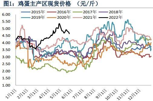 鸡蛋最新价格行情分析与成长机遇探索