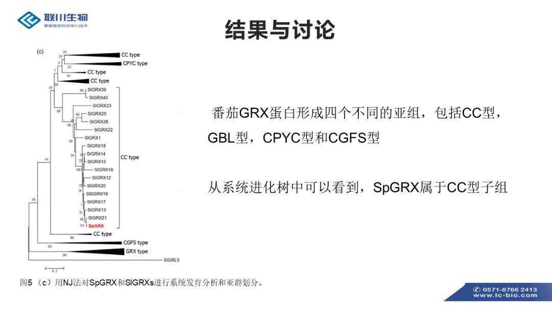 新澳2025最新资料大全,标准执行具体评价_电影版38.136