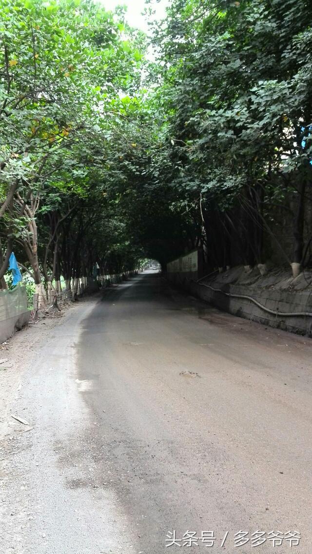 仁怀在线最新职位招聘，携手共赴自然美景的探索之旅