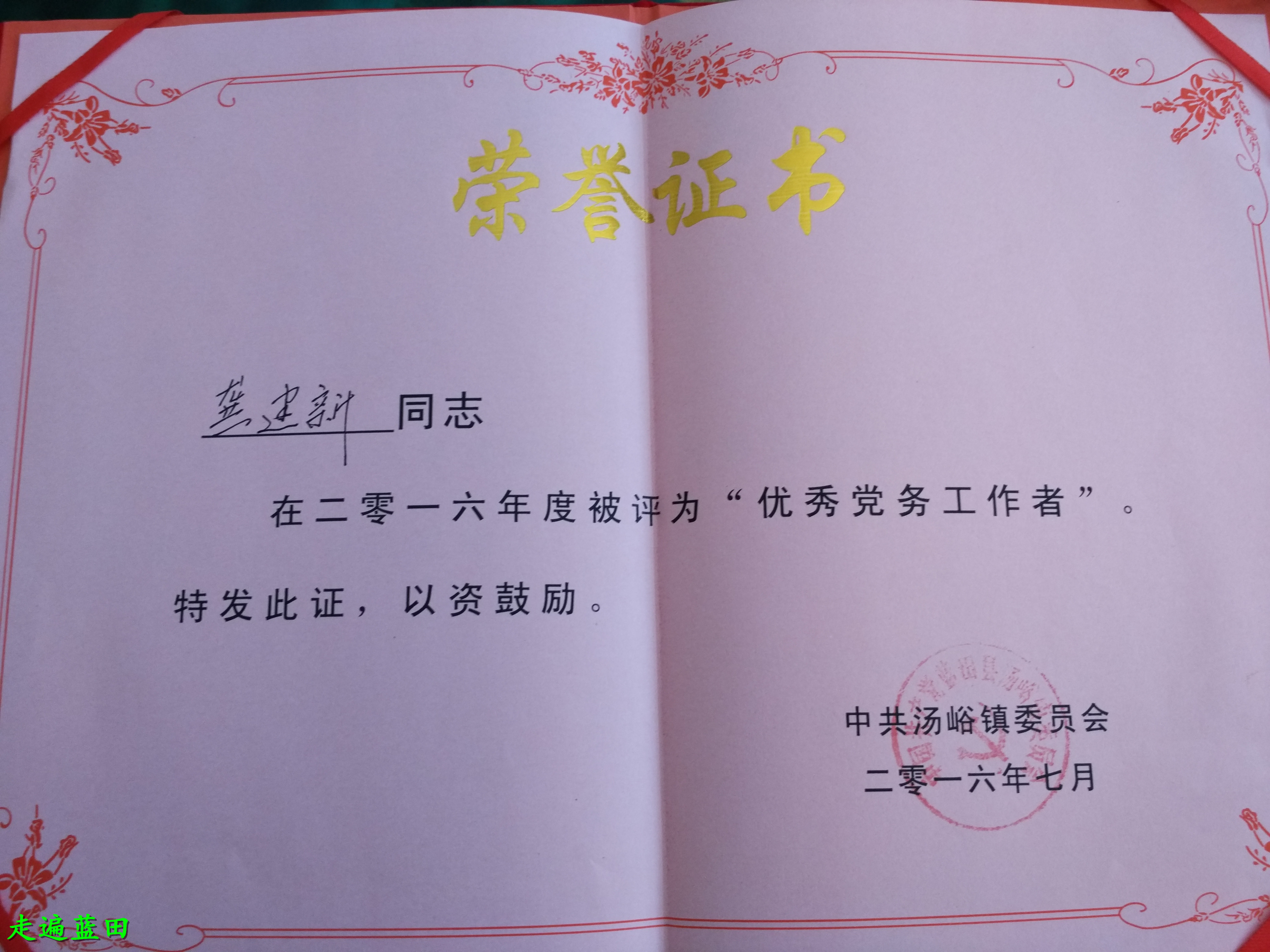 栾川最新干部任免动态及小巷深处的独特风情