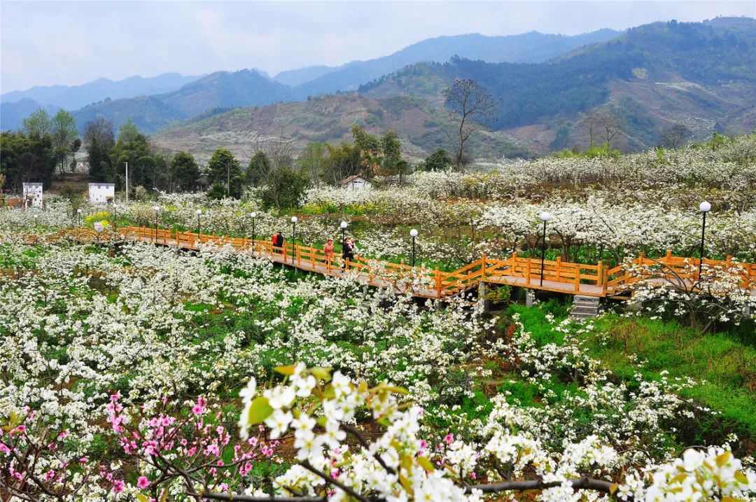 菏泽市领导调整，探索自然美景之旅，寻求内心平和与喜悦