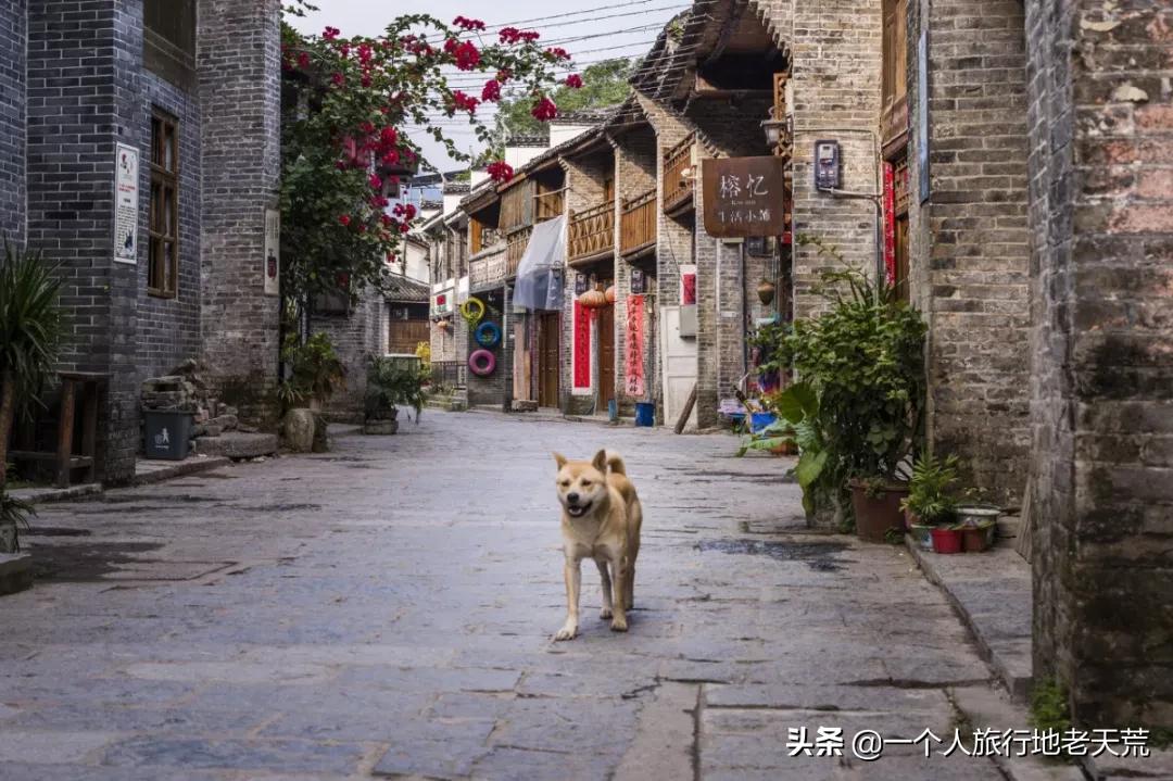 成都最新幺五一条街，小巷中的独特风味探索