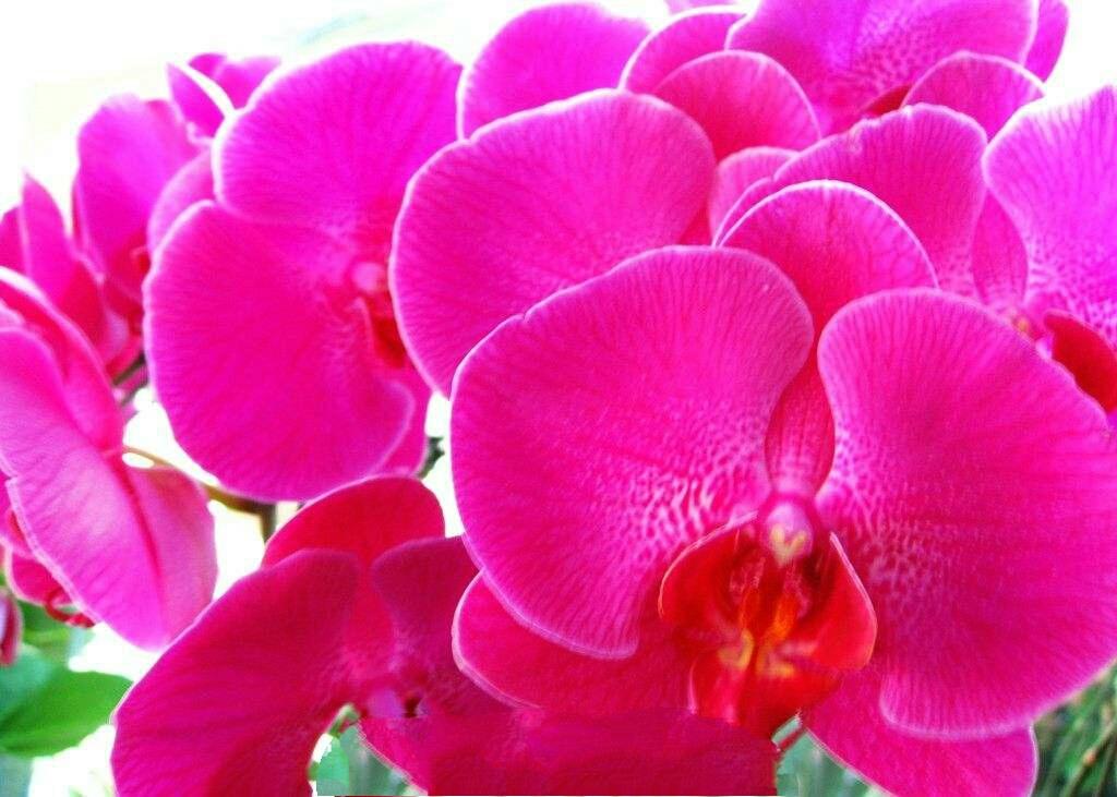 红色仕途最新章节列表速递